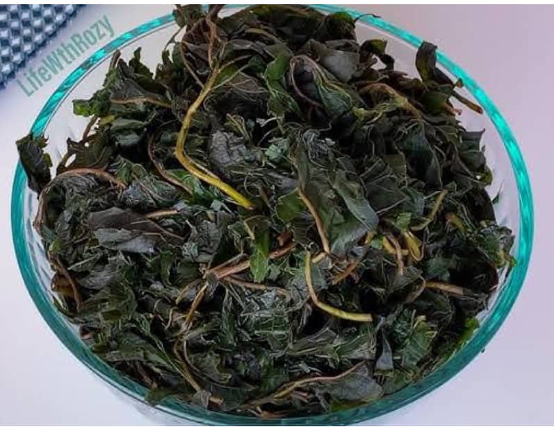 Bitter Leaf