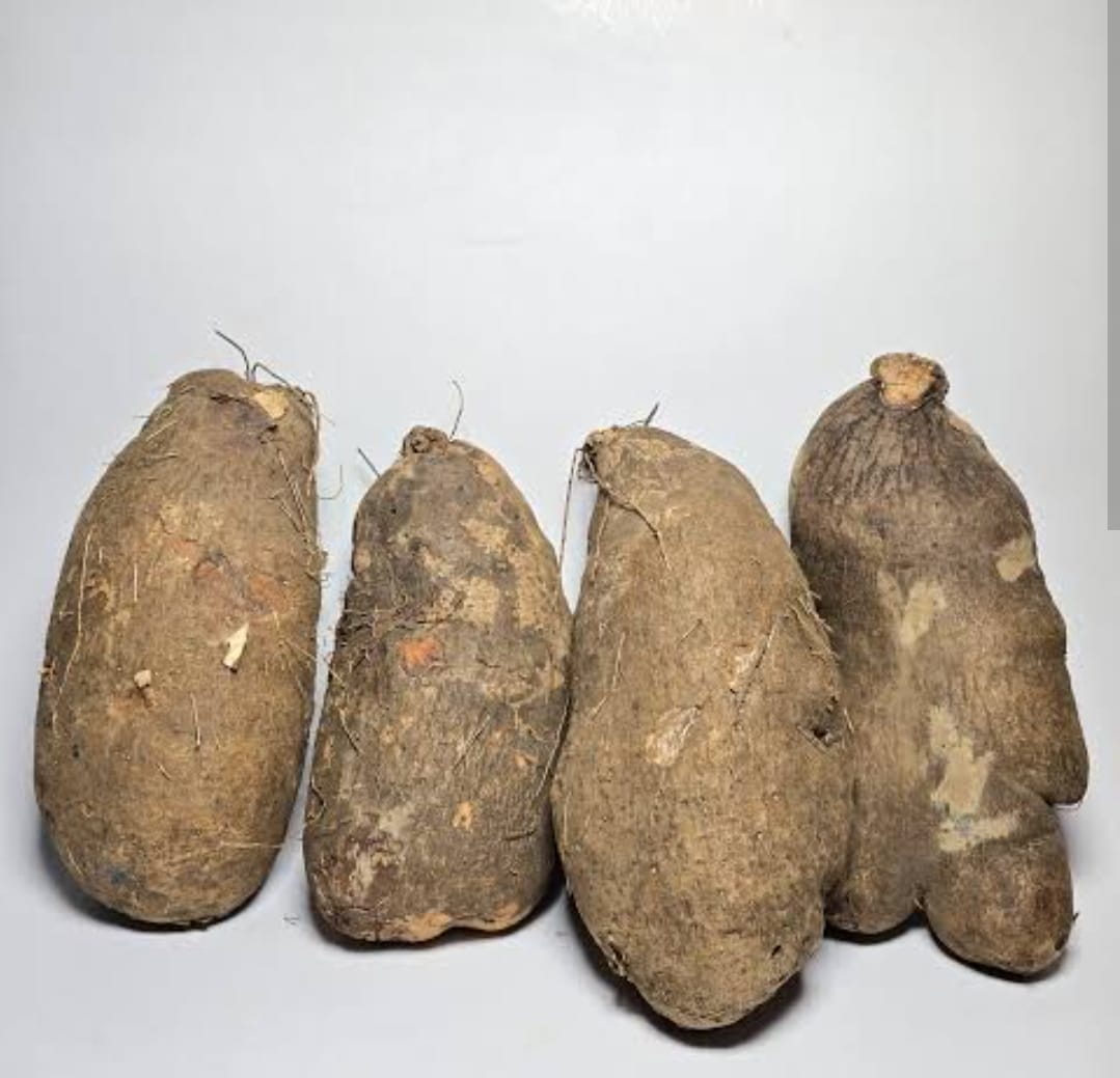 Water Yam